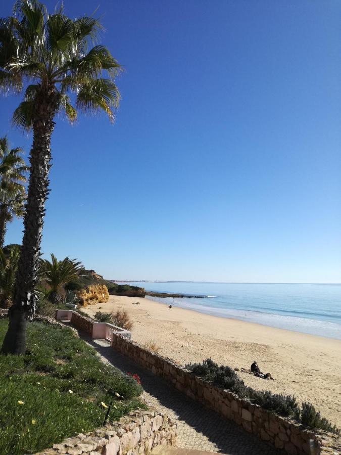 Jardins De Santa Eulalia - Appartement